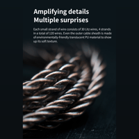 FiiO LS-2.5A/LS-2.5AS variant 4