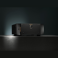 Marantz AMP 20 variant 10