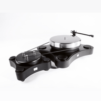 TW-Acustic Raven Black Night variant 2