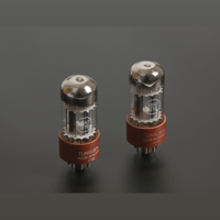 Stax - International SRM-700T Vacuum Tube Driver Unit variant 2