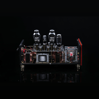 SW1x MPA V “Atlas” PP Mono Power Amplifier variant 8