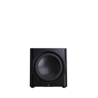 Perlisten R15s variant 1