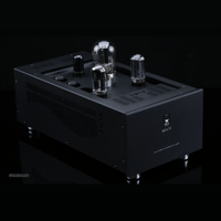 SW1x MPA IV “Aurora” Mono Power Amplifier variant 11