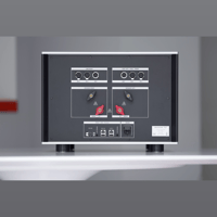 Soulution Audio 717 power amplifier variant 2