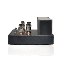 Black Ice Audio Fusion F165M Reference Mono Block Tube Power Amplifier(Pair) - 175 WPC* variant 5