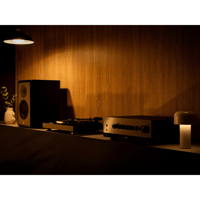 Yamaha TT-S303 variant 8