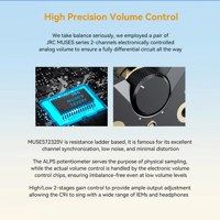 Cayin C9ii variant 29