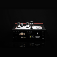 SW1x AMP III “Trinity” Integrated Amplifier variant 8