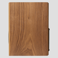 Totem Acoustic Totem LOON Monitor variant 6