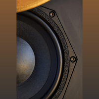 Pitt & Giblin FLARE variant 2