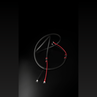 Allnic/ZL Technologies ZL-3000 mk2 Speaker Cable variant 1