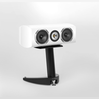 Triangle Magellan - Voce 40th variant 13