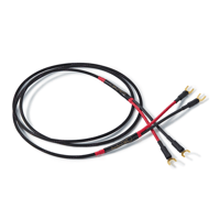 Audience Studio TWO USB variant 3