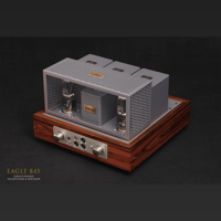 ThivanLabs EAGLE 845 H&S variant 5