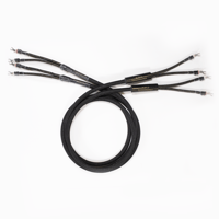 VooDoo Cable Renaissance XRS Speaker Cable variant 2