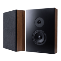 Argon Audio FORUS 5 WALL variant 5