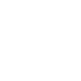 Perlisten R8s variant 10