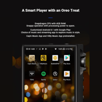 Cayin N6ii variant 11