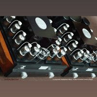 ThivanLabs X Grand Version Amplifier (3D21 tube) variant 8