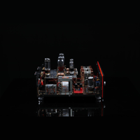 SW1x AMP II “Electra” Integrated Amplifier variant 5