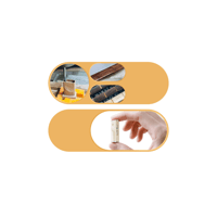 FiiO MELODY variant 4