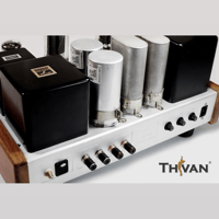 ThivanLabs Special ultimate monoblock 845PP Amplifiers variant 3