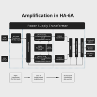 Cayin HA-6A variant 10