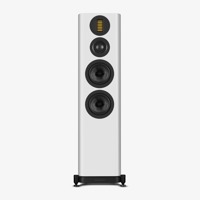 Wharfedale EVO 5.4 variant 17