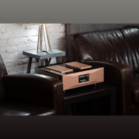 Merrill Audio Element 116 Power Amplifier Monoblocks variant 7