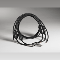 Shunyata Research SIGMA-X RCA | XLR | Phono variant 5