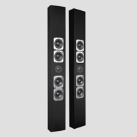 Totem Acoustic Tribe V variant 3