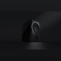 Perlisten D215s variant 4