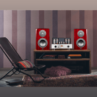 Cayin T30 MK2 variant 13