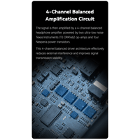 Cayin RU9 variant 11