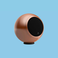 Gallo Acoustics A’Diva variant 13