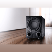 Magnat Alpha RS 12 variant 9