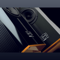 B.M.C. PureVox variant 4