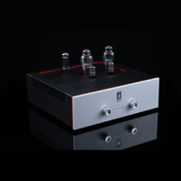 SW1x AMP V “Titan” Integrated Amplifier variant 7