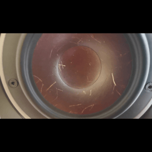 Thumbnail of the video review https://www.youtube.com/watch?v=qjZDQCnFwM8