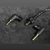 DITA Audio Awesome Truth (Black) variant 6