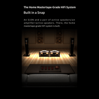 Aune S10N  Network Music Player variant 15