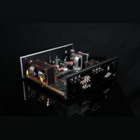 SW1x AMP I “Genie” Integrated Amplifier variant 10