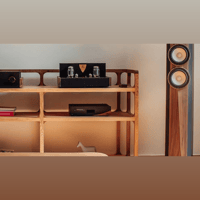 Margules MAGENTA MUSIC SERVER MS-01 variant 3