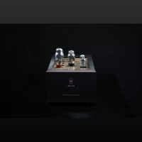 SW1x MPA III “Oracle” Mono Power Amplifier variant 21