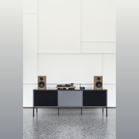 Pro-ject Audio Systems - USA Debut Record Master II variant 7