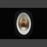 SW1x XCalibur Horn Loudspeakers variant 17