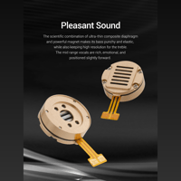 Sivga Audio Planar Driver Wired Hifi IEM variant 16