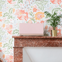 Triangle AIO 3 variant 12