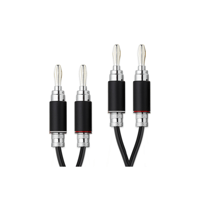 Pro-ject Audio Systems - USA Connect it LS DS variant 3