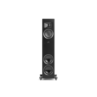 MartinLogan Motion F10 variant 10